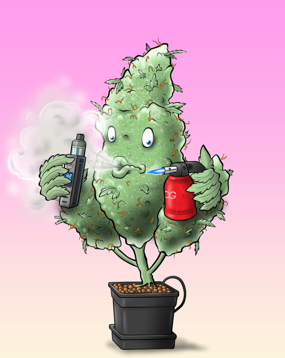 OGWeedNFT | Mint LIVE @0.5 SOL tweet media