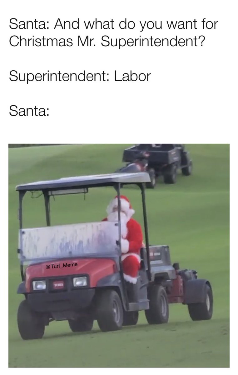 Turf Meme (@turf_meme) on Twitter photo 