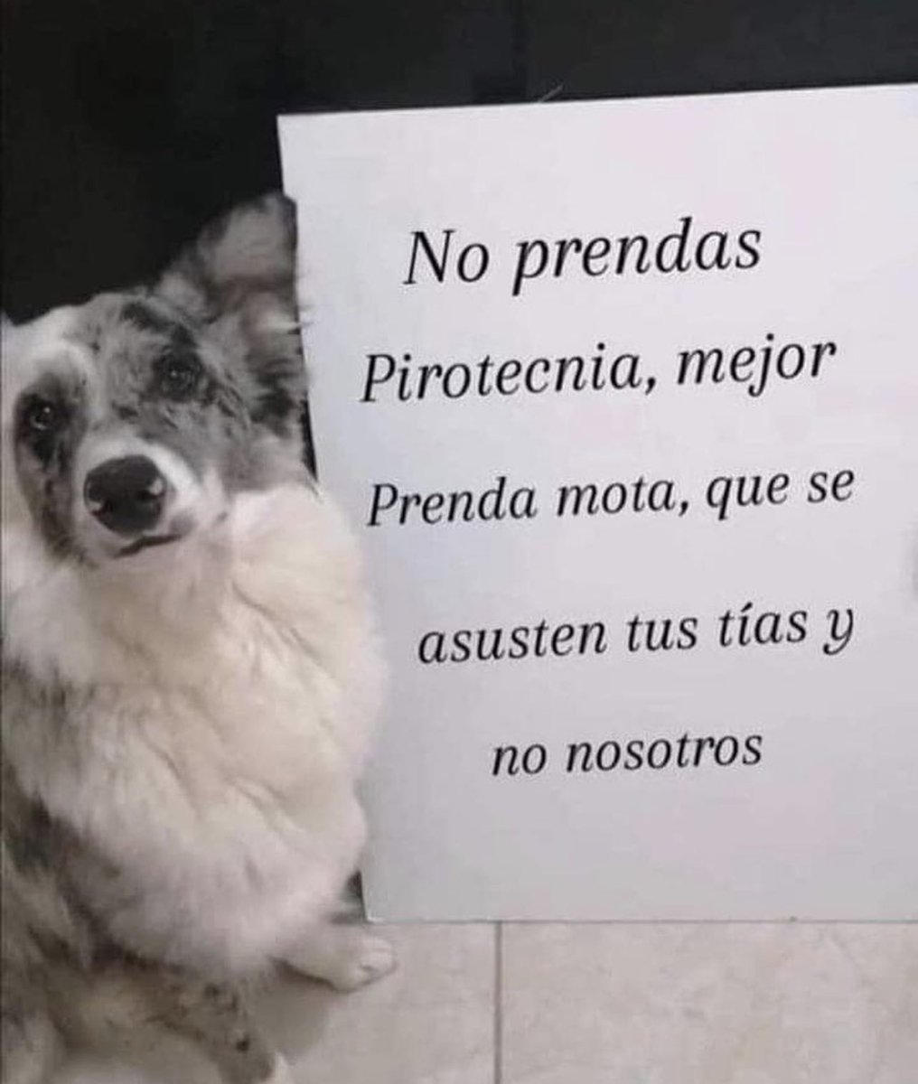 Lomitos Suavecitos tweet media