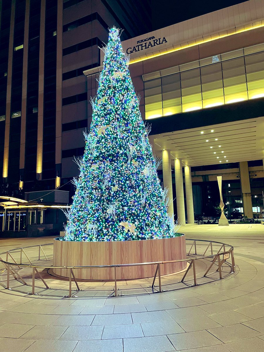 kotostaff's tweet photo. 🐤MerryX'mas🔥

江東区のオススメフォトスポットをご紹介します😍

1枚目は深川ギャザリアの高さ10mのクリスマスツリー🎄

2枚目はららぽーと豊洲のクリスマスイルミネーション🦌

本日25日の23時までライトアップされています！

 #江東区  #深川ギャザリア  #ららぽーと豊洲  #フォトスポット https://t.co/N5bBPWvY1Z