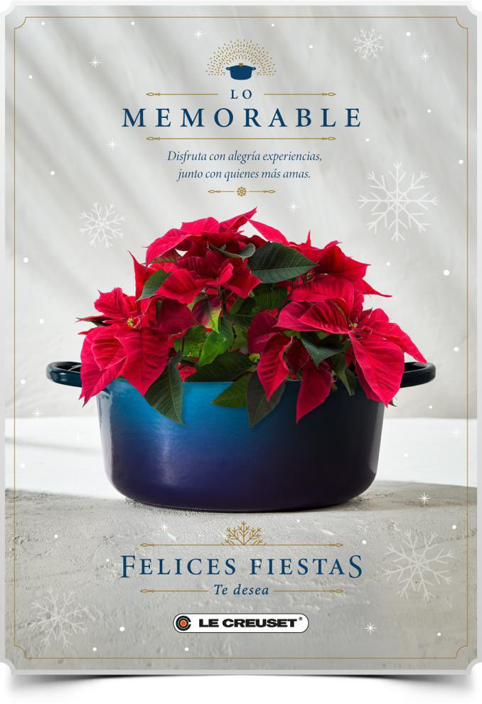 #FelicesFiestas