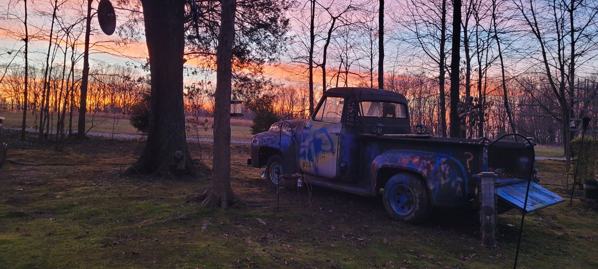 Reform The Hounds tweet media