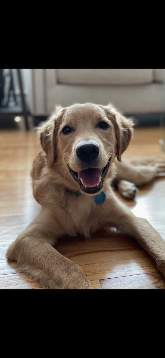 Bryan Stringer tweet media