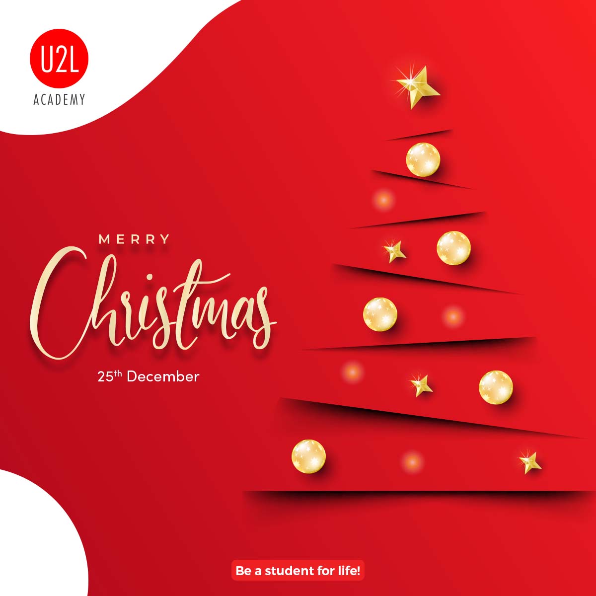 U2LAcademy's tweet photo. Merry Christmas to all our family!
#Christmas #u2lacademy #india #unlearn #learnnew https://t.co/0v9D59M5rM