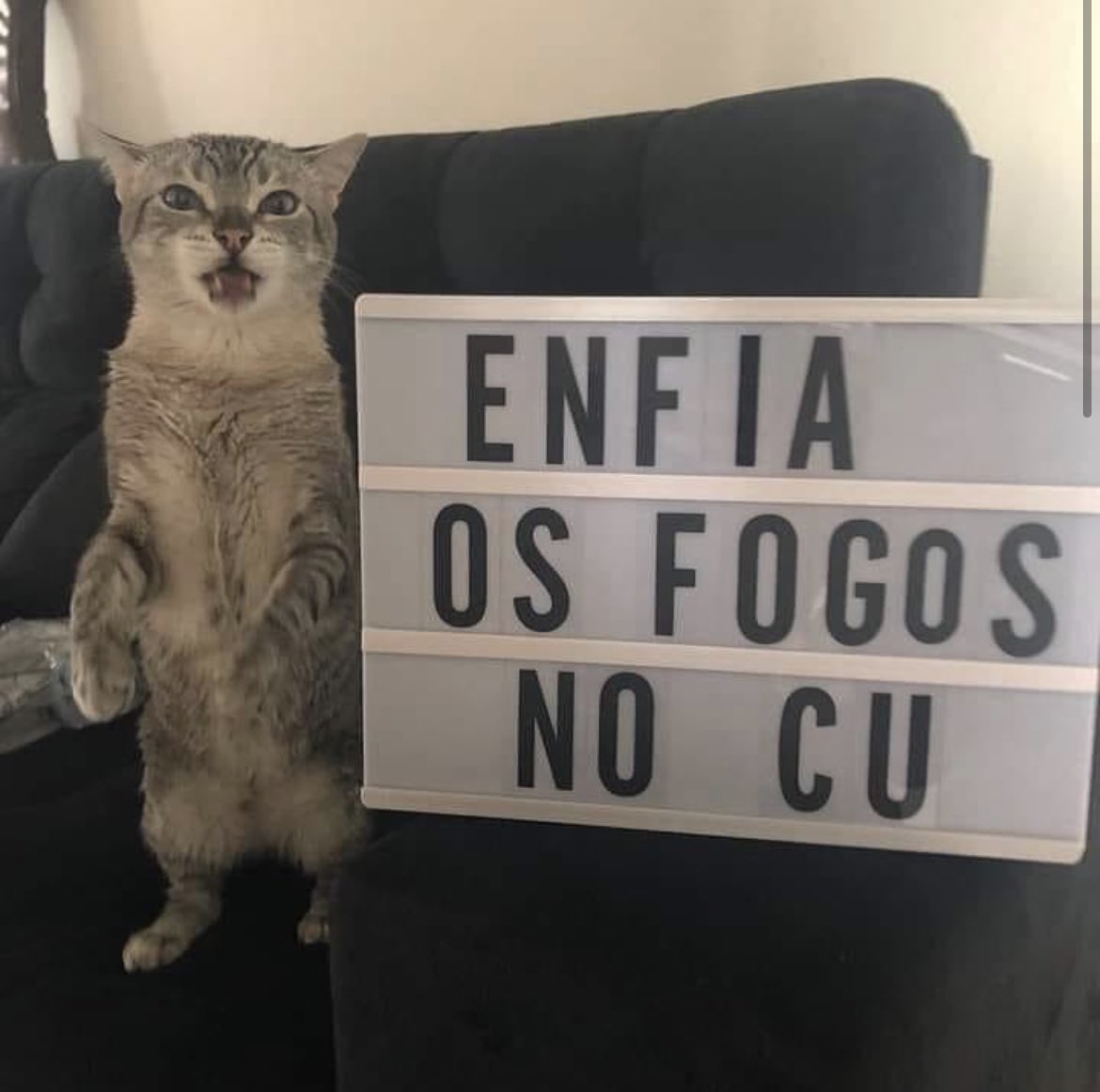sempre bom lembrar