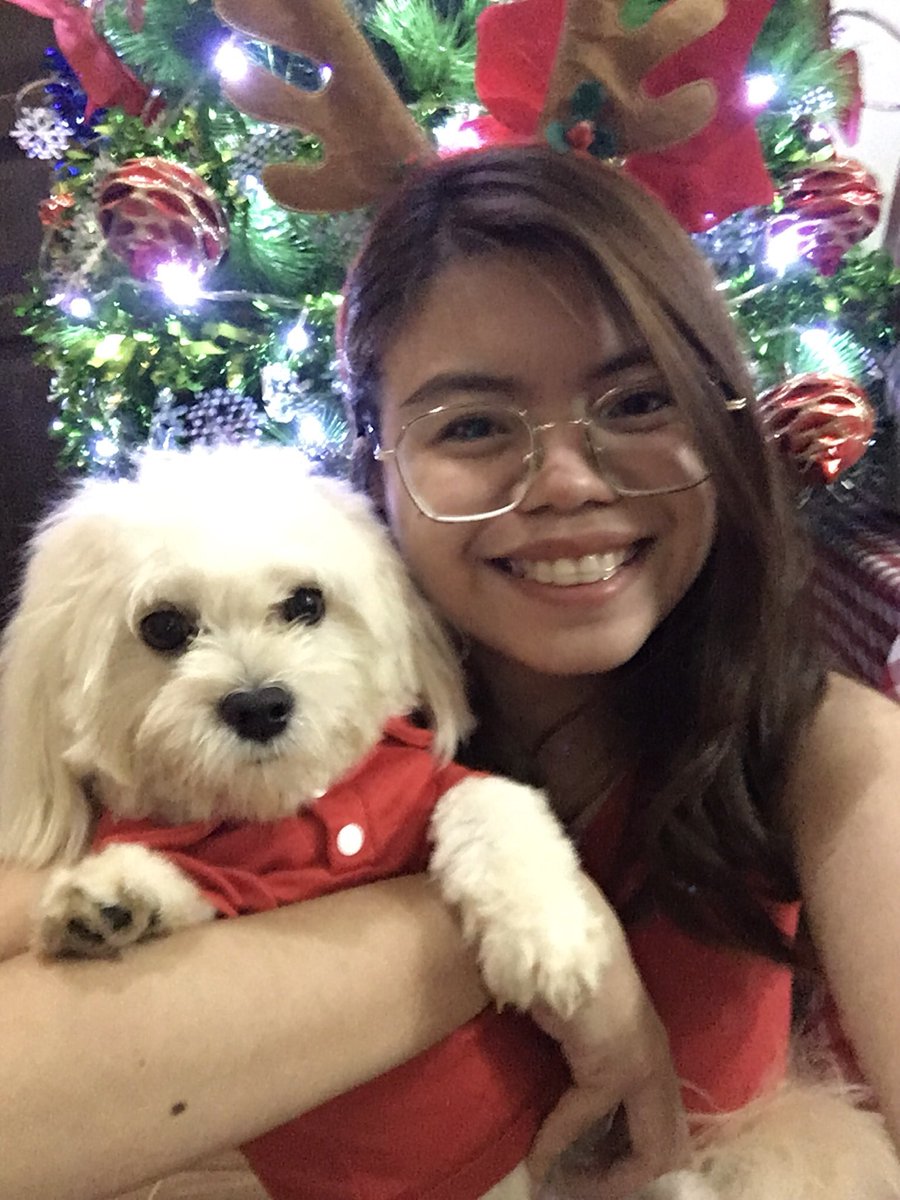 ewmliee's tweet photo. Wooof woof Merry Christmas!! 🎄🎁 https://t.co/ASCfSGQuiB
