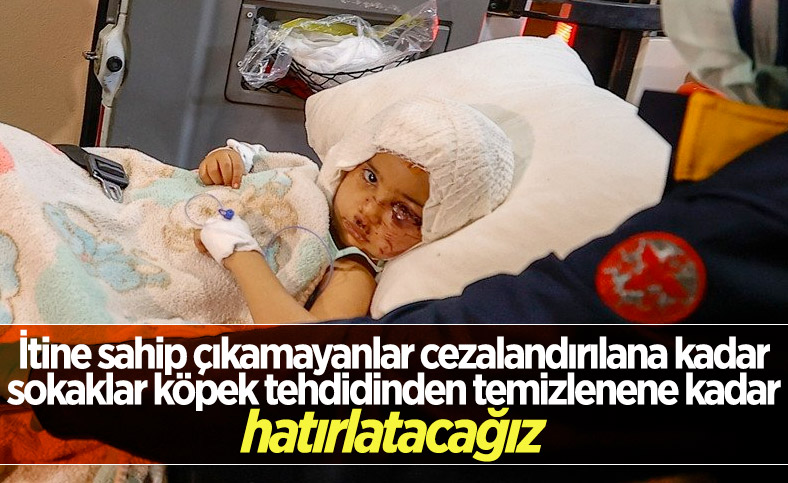 Gaziantep'te iki pitbull cinsi köpeğin saldırdığı Asiye Antalya'ya getirildi ensonhaber.com/3-sayfa/gazian…