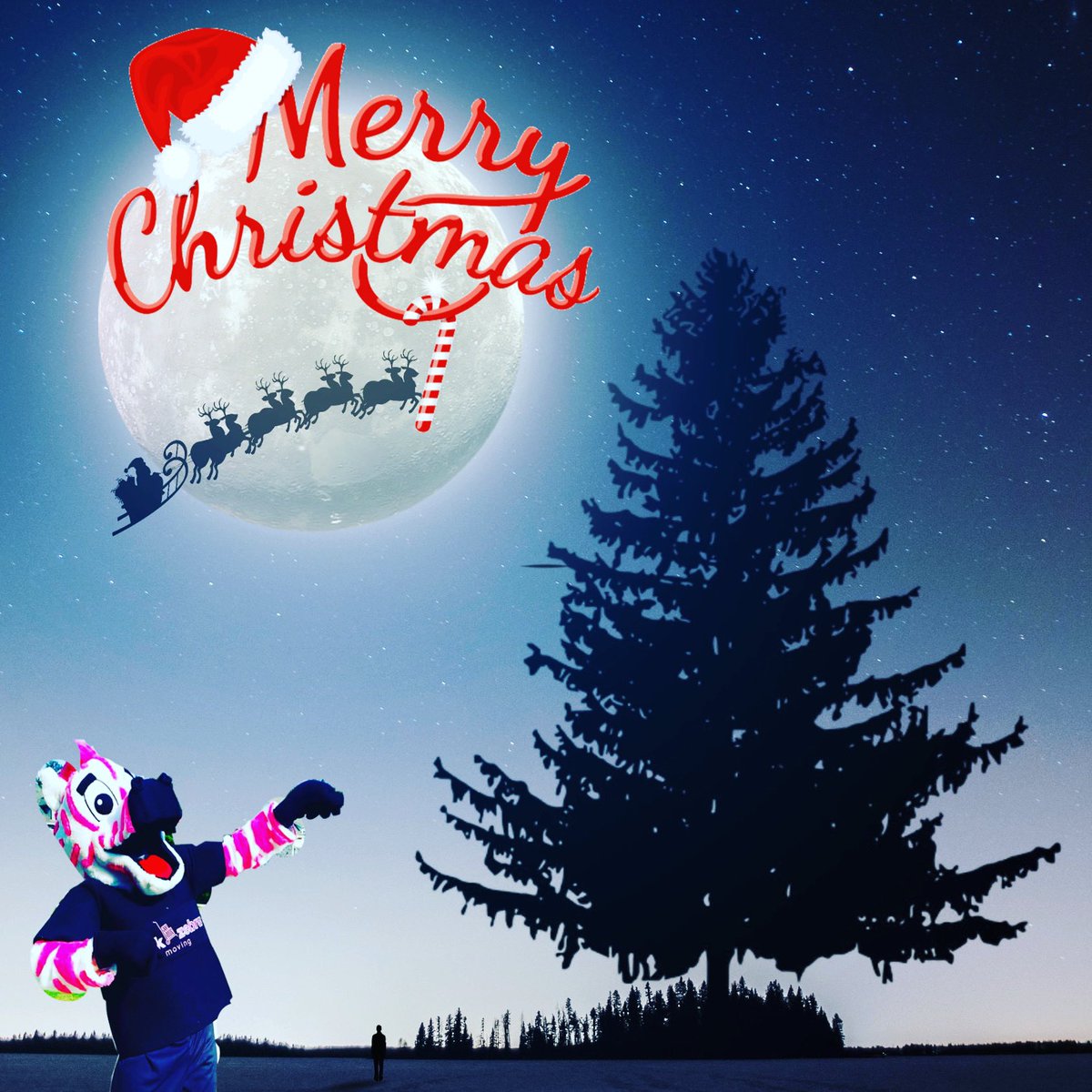 Merry Christmas from <a href="/MovingZebra/">Pink Zebra Moving</a>