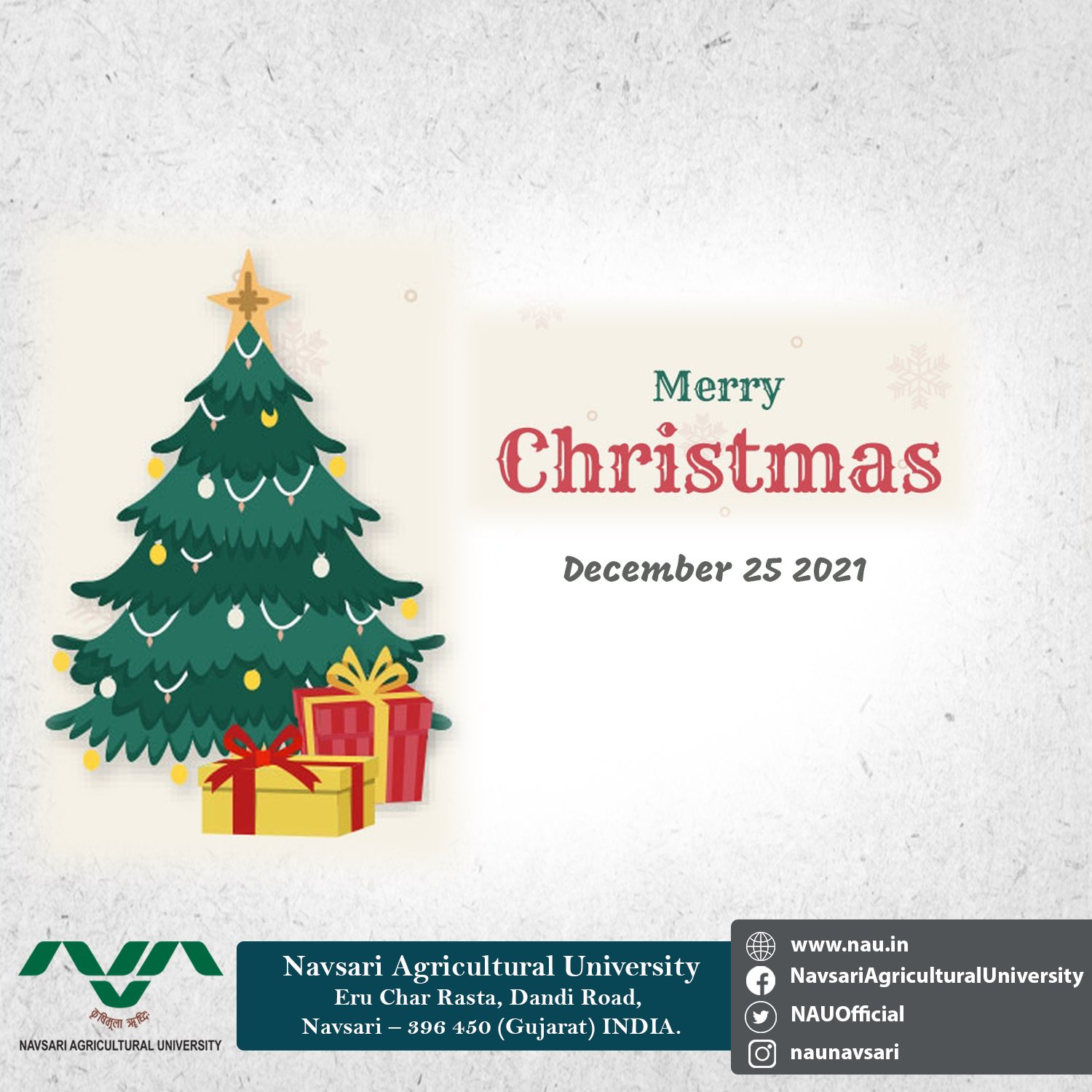 Nau Christmas Dinner 2022 Navsari Agricultural University (@Nauofficial) / Twitter