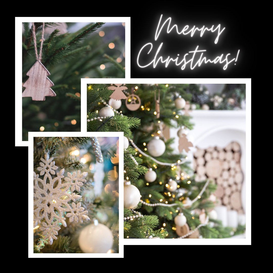 tdilsheimer's tweet photo. #MerryChristmas 🎄 https://t.co/rowD9wLPi4