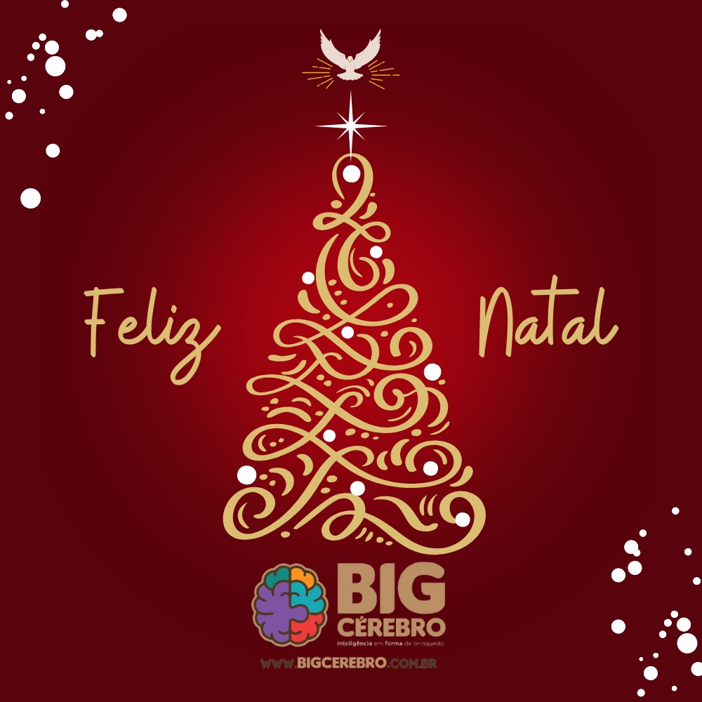 cerebro_big's tweet photo. A Big Cérebro deseja que um Natal de Luz, Saúde e Paz. Que o Espirito Santo de Deus esteja dentro de cada lar, celebrando o nascimento de Jesus. Feliz Natal!

#Natal #criança #Jesus #brinquedos #brinquedoeducativo #brinquedointeligente #bigcerebro #avenidadamodapassos https://t.co/hU4e1Sq8a0