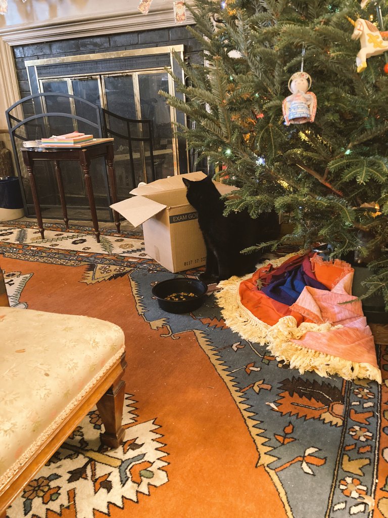 Κατιε Clemmer tweet media