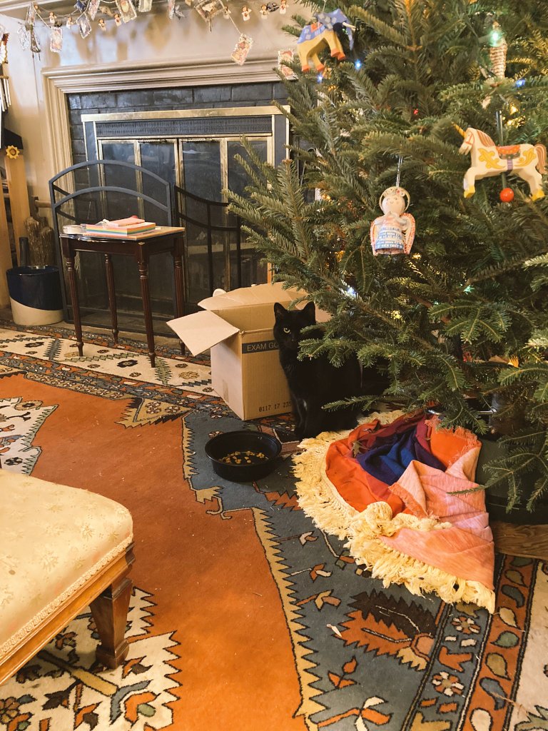 Κατιε Clemmer tweet media