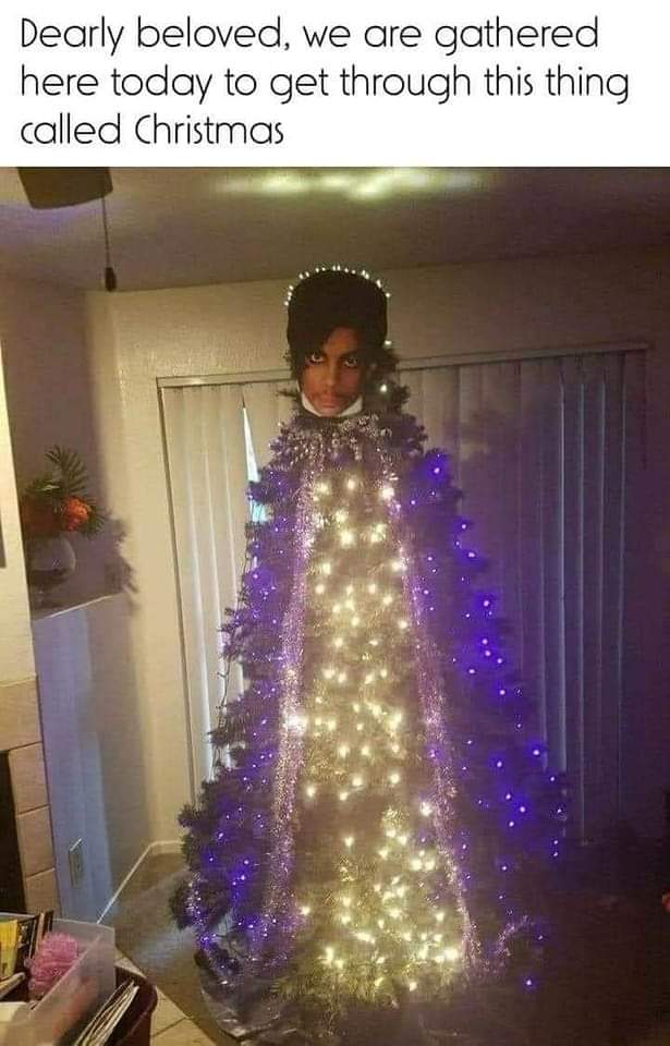 MarkVudrag1's tweet photo. My tree next year https://t.co/kpweqZBWBI