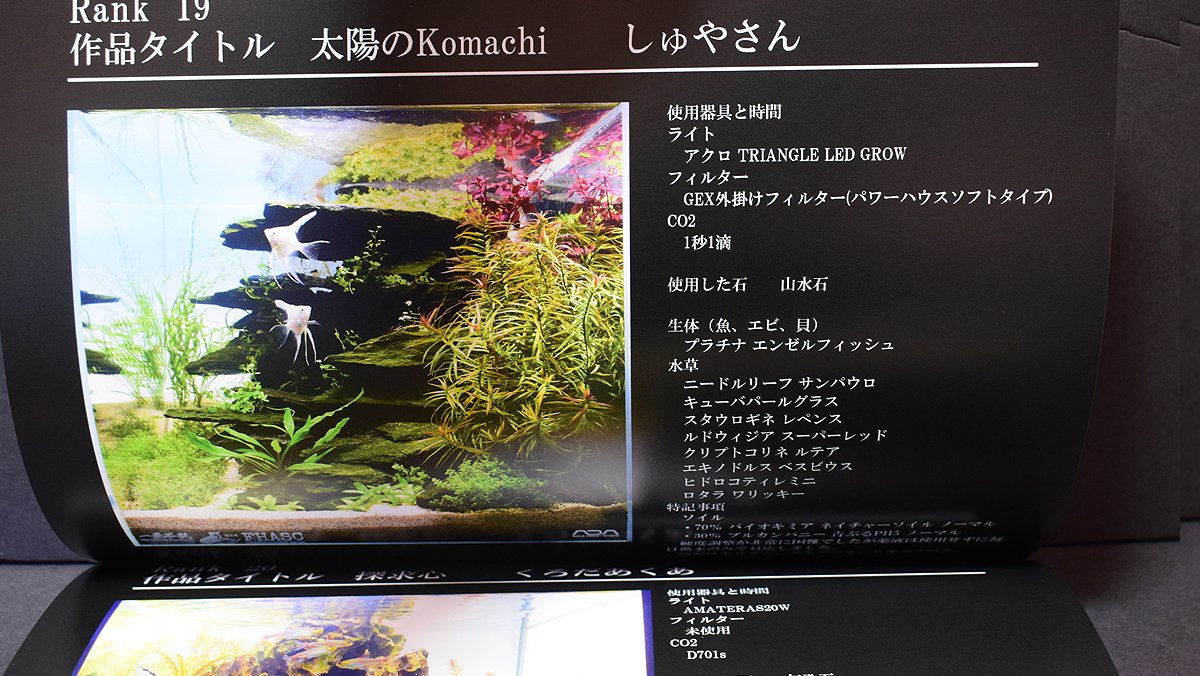 yasube052's tweet photo. #FHASC2 の作品集が届きました!
同封で作品の良い所と悪い所、
改善点などアドバイスもいただいて
きめ細かいフォローが流石です😆
ありがとうございました🙇♂️
過去ログ
https://t.co/xQ61i4UDqp
#FHASC #アクアリウム #水草 #水草水槽 #水槽 https://t.co/rXWLac6gNd