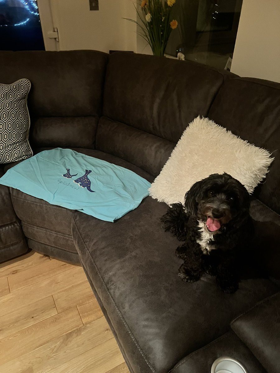 My pillowcase is out ready for Santa, have a lovely Christmas everyone!