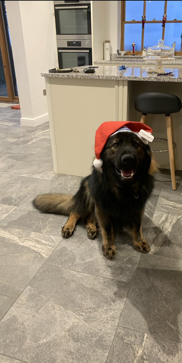 Merry Christmas everyone 🎄