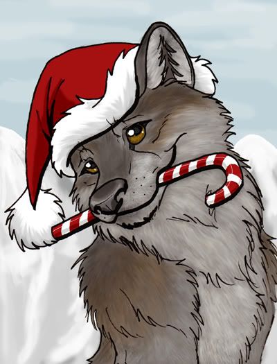 Savethewolves4's tweet photo. Hope everyone had a great Christmas eve have fun and drink alot 🎄 https://t.co/McIAfbXRsY