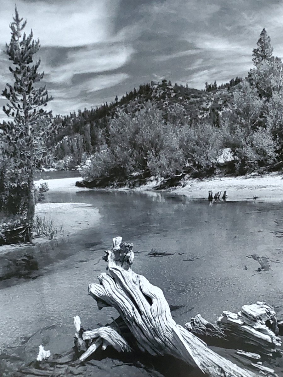 GranmaJeanMayer's tweet image. During the 80s, I was spending time at our Rock Creek (CA) family cabin at 10,000 feet in the sierras when I came upon this spot that had many elements for a perfect photo subject.