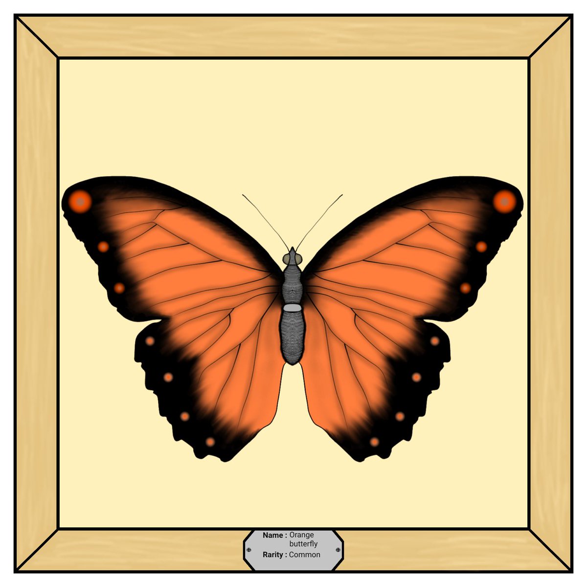 Butterfly__NFT's tweet photo. Common - orange butterfly #NFTs #NFTCommunity #nftart #NFT https://t.co/xM9eJOJp3t