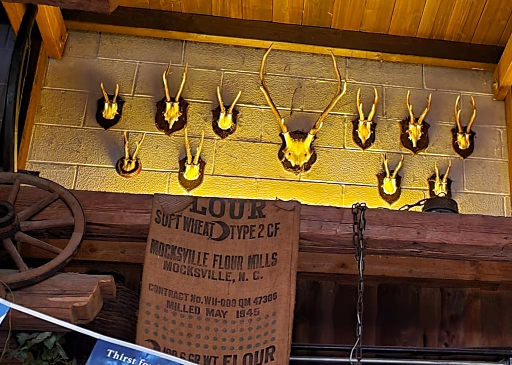awraynor's tweet photo. When you go to your favorite restaurant, for your favorite meal and you wonder if there's a chance they just served you #jackelope? 😂 https://t.co/MgPtdgXlLO