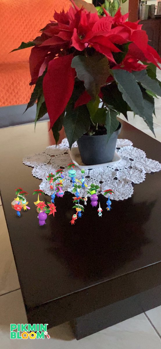 Shoninho10's tweet photo. #HolidayWithPikmin https://t.co/TlFC7p0ptn
