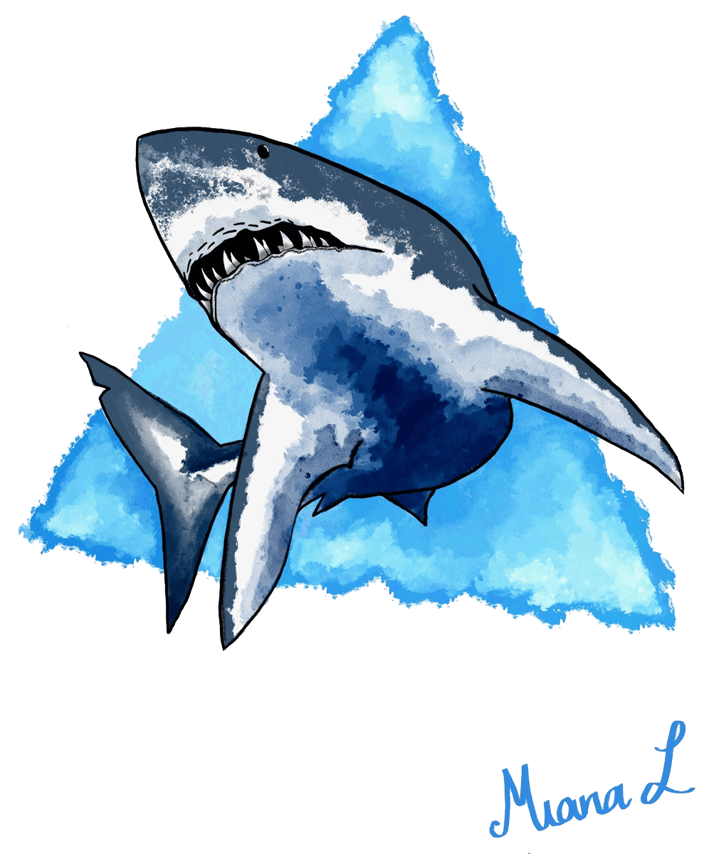 OceanMotionArt's tweet photo. Great White!, created December 2020.  #Shark #greatwhite #sharkweek #marinelife #ocean #nftart #NFTs #OpenSea #exclusive #WWF #savetheocean https://t.co/9c8zKTn7tp