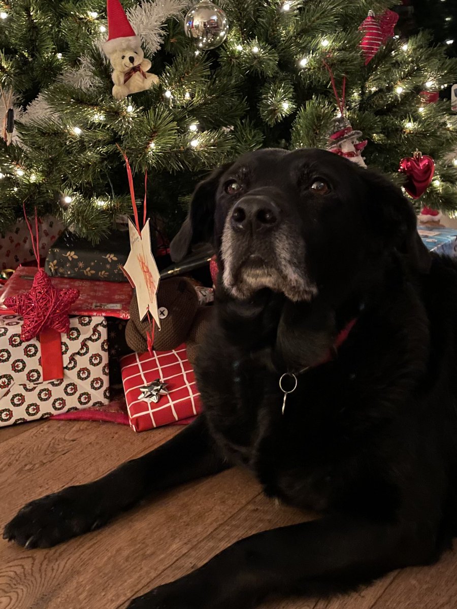 #VROLIJKKERSTFEEST #MerryChristmas #JOYEUXNOEL #FelizNavidad