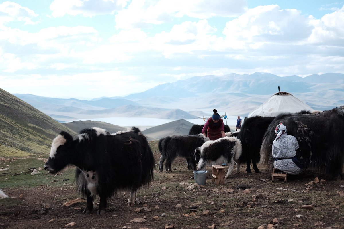 geoinst_ia's tweet photo. @blknoiz06 Mongolia https://t.co/jBCDFGnoE7