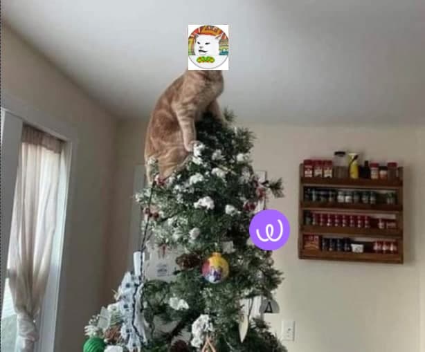 DropsOmar's tweet photo. look what Smudgaclaus brought to me
@wearesmudgecoin 
@I_amOmarGO20 @Kevin09718756 @MALDITOmonky 
follow smudge my friends!
telegram : https://t.co/03F0xc3tJq

#MeowMeowMeow https://t.co/dpreSqslzX