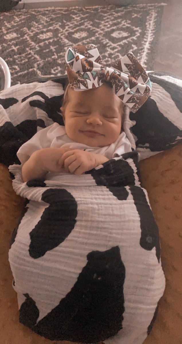 PettyGunner's tweet photo. Forgot to post pictures of my baby girl on Twitter! I guess you could say she’s TikTok famous…❤️🤷🏻‍♂️ https://t.co/QiMDFxDS7P