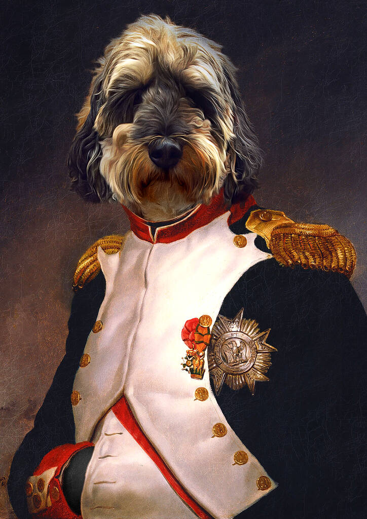 RoyalPetsClub's tweet photo. Cheers, everyone🍸🍾

We officially add our royals to #rarible and #opensea, check below!
 
https://t.co/ceIjDQJLYC #ethereum #flow #nonfungible #digitalasset via @rarible 

#NFT #NFTs #NFTGiveaways #NFTArt #NFTCommunity  #Ethereum #nftart #NFTinvestor #NFTGiveaways #NFTartist https://t.co/cfkiRrs4RV