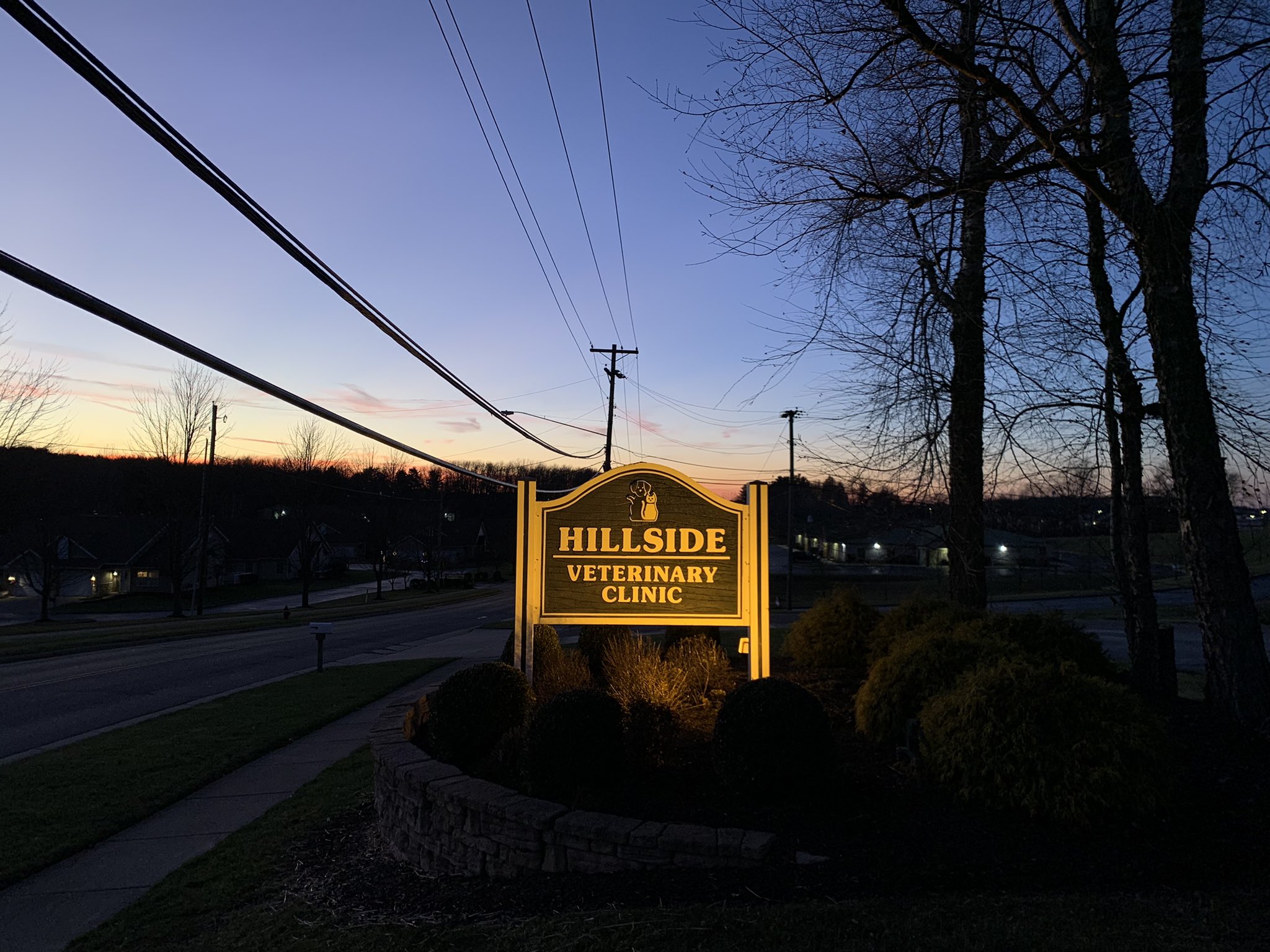 Hillside vet hot sale clinic