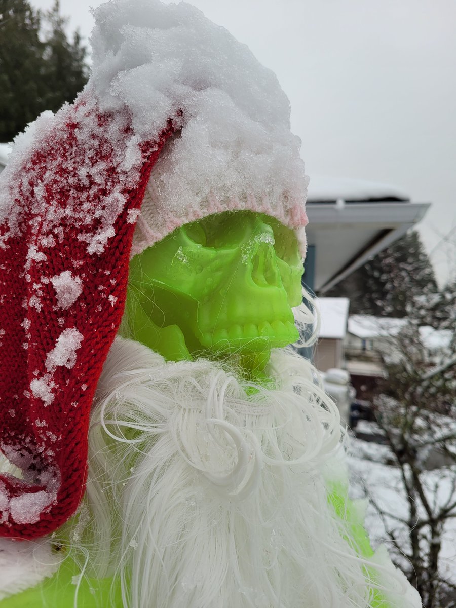 dustinjaywalker's tweet photo. Merry Christmas, from our xmas skeleton to yours.

#ChristmasEve #Xmas  #halloweenisbetter #Christmas  #xmasskeleton https://t.co/F515wCVZdB