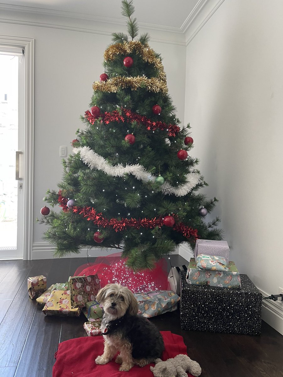 Rate my first Christmas tree 🎄