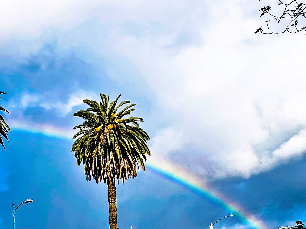 spmikey83's tweet photo. A Christmas Eve rainbow. ๐๐โ
๏ธ โ #RandomRainbow #PalmTrees #SFV #ChristmasEve #HappyHolidays #Holiday2021 https://t.co/323LmpkWa7