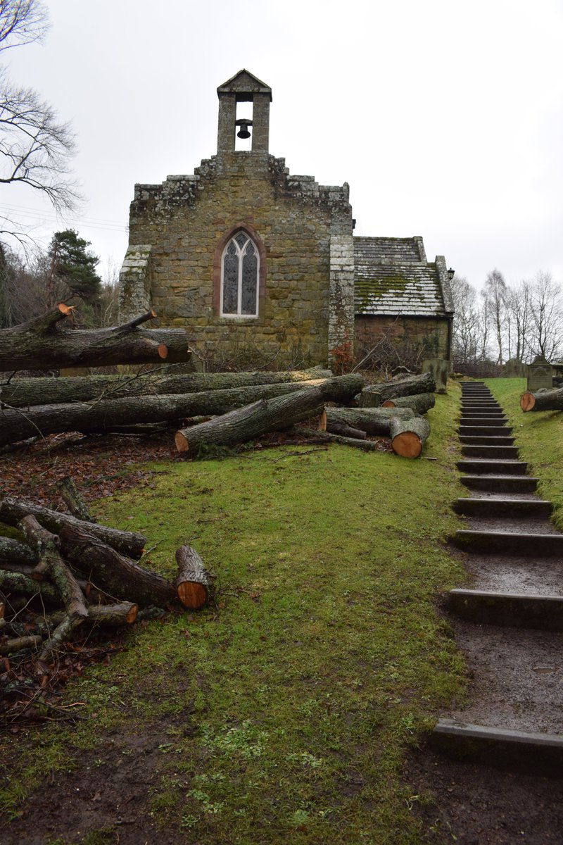 #StormArwen chopped up trees