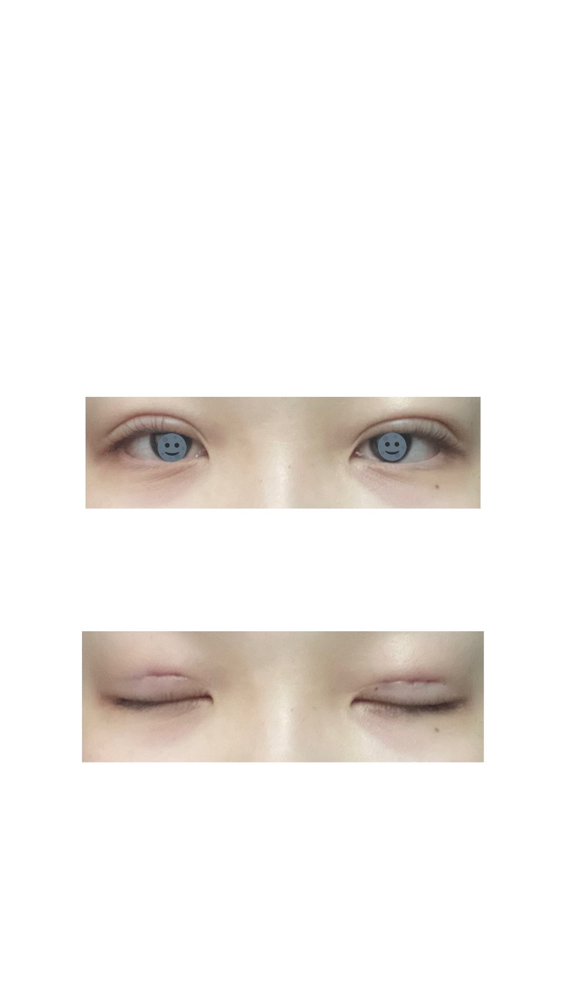 Dt2日目 Cerca Al Twitter Twitter