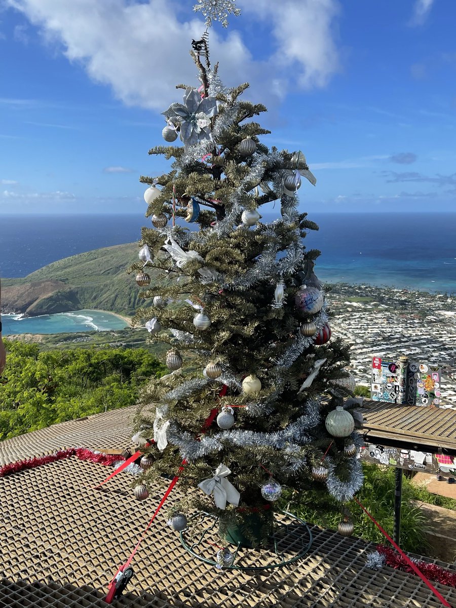 Merry Christmas Eve from Koko Crater. After the tough ascent, this tree brought a smile to my face, as did all the hikers dressed as Santa and his Elves.