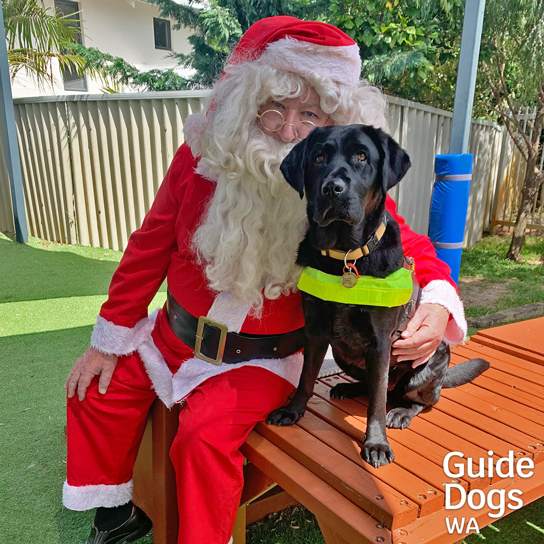 Merry Christmas from Guide Dogs WA 🎄

[Santa sitting with black Labrador in harness. Guide Dogs WA logo.]