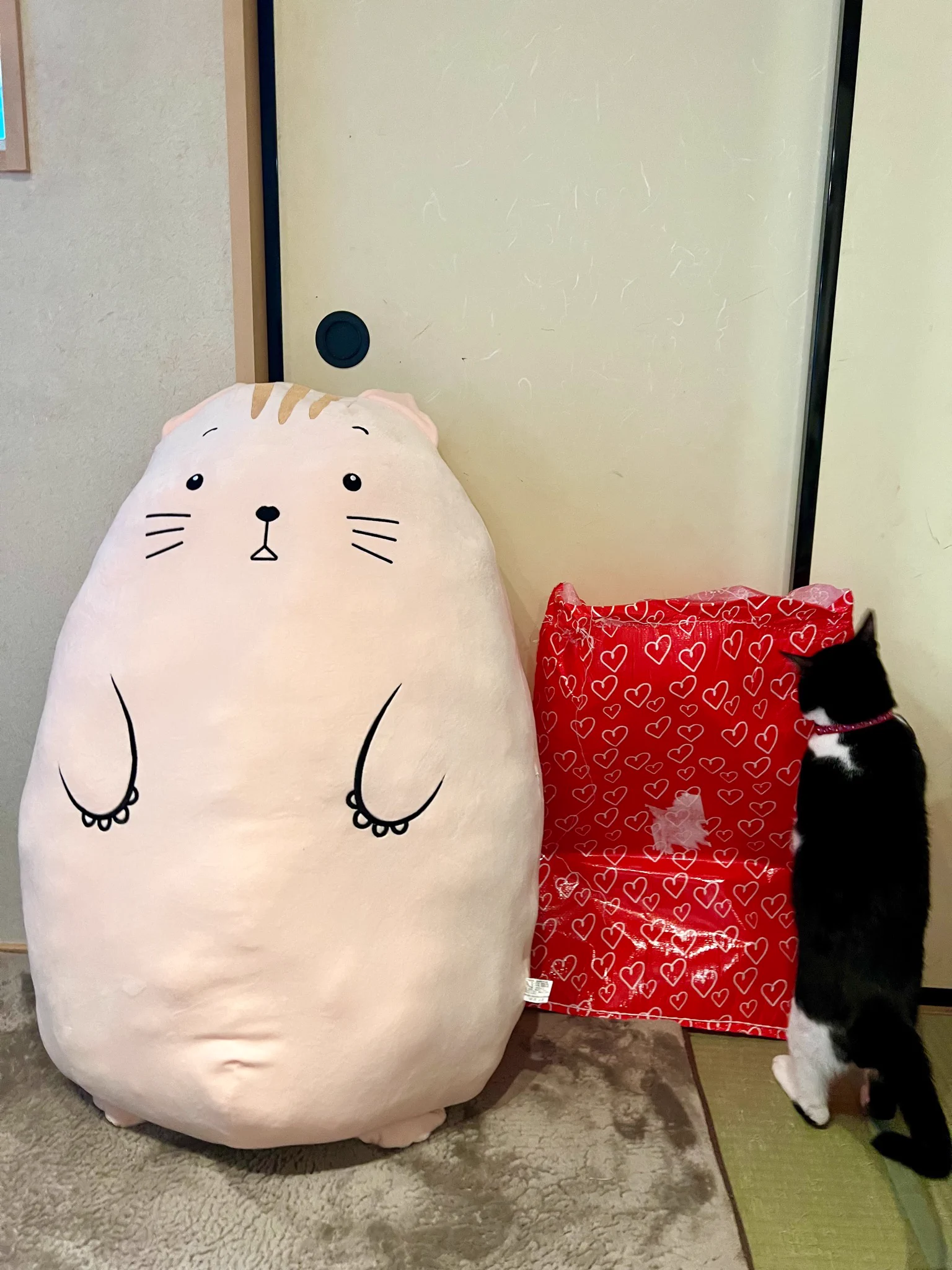 こんなの頼んでない！クリスマスの朝から焦ったけど大丈夫だった！