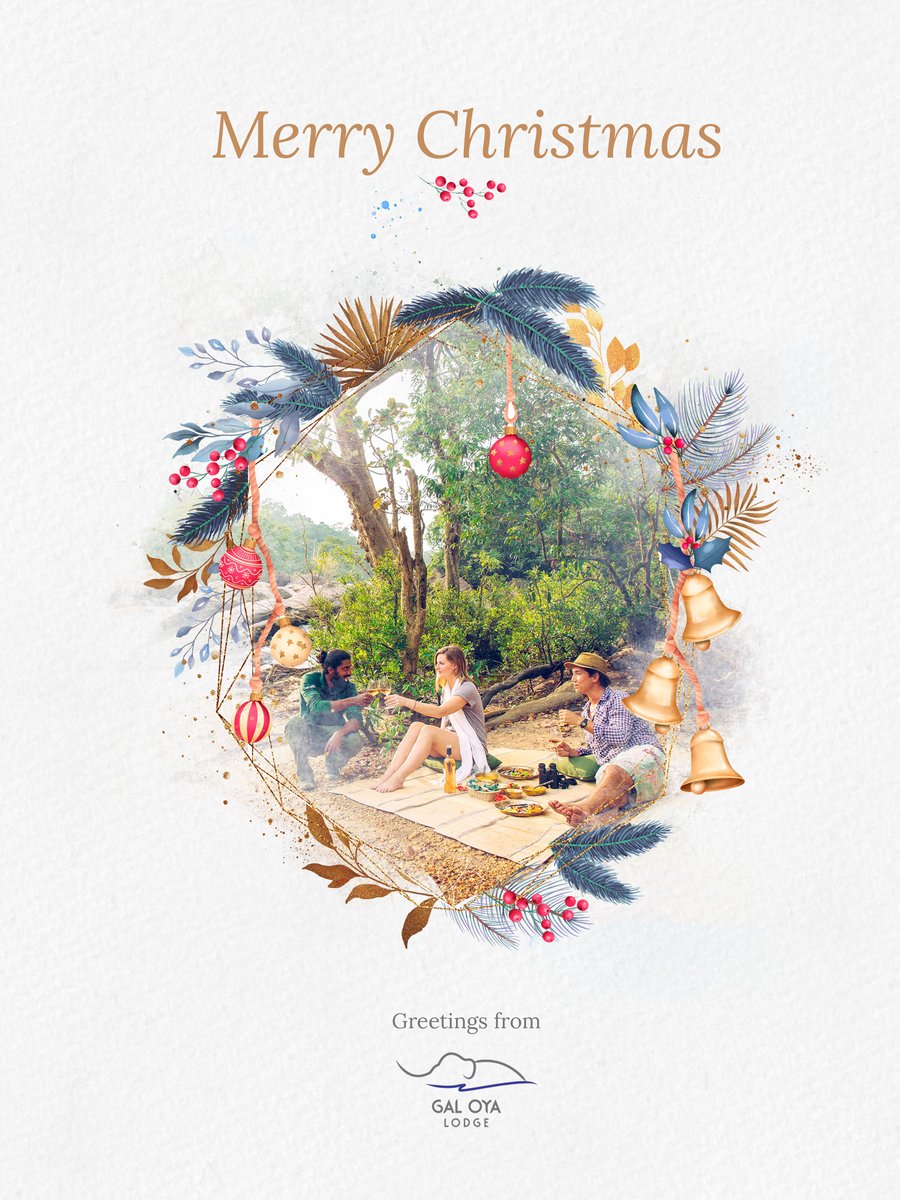 Gal Oya Lodge tweet media