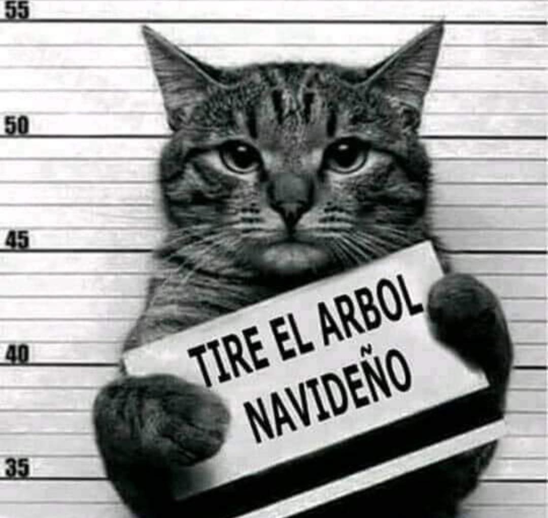 KarmaPastor's tweet photo. Y lo volvería a hacer https://t.co/StScsEkkpL