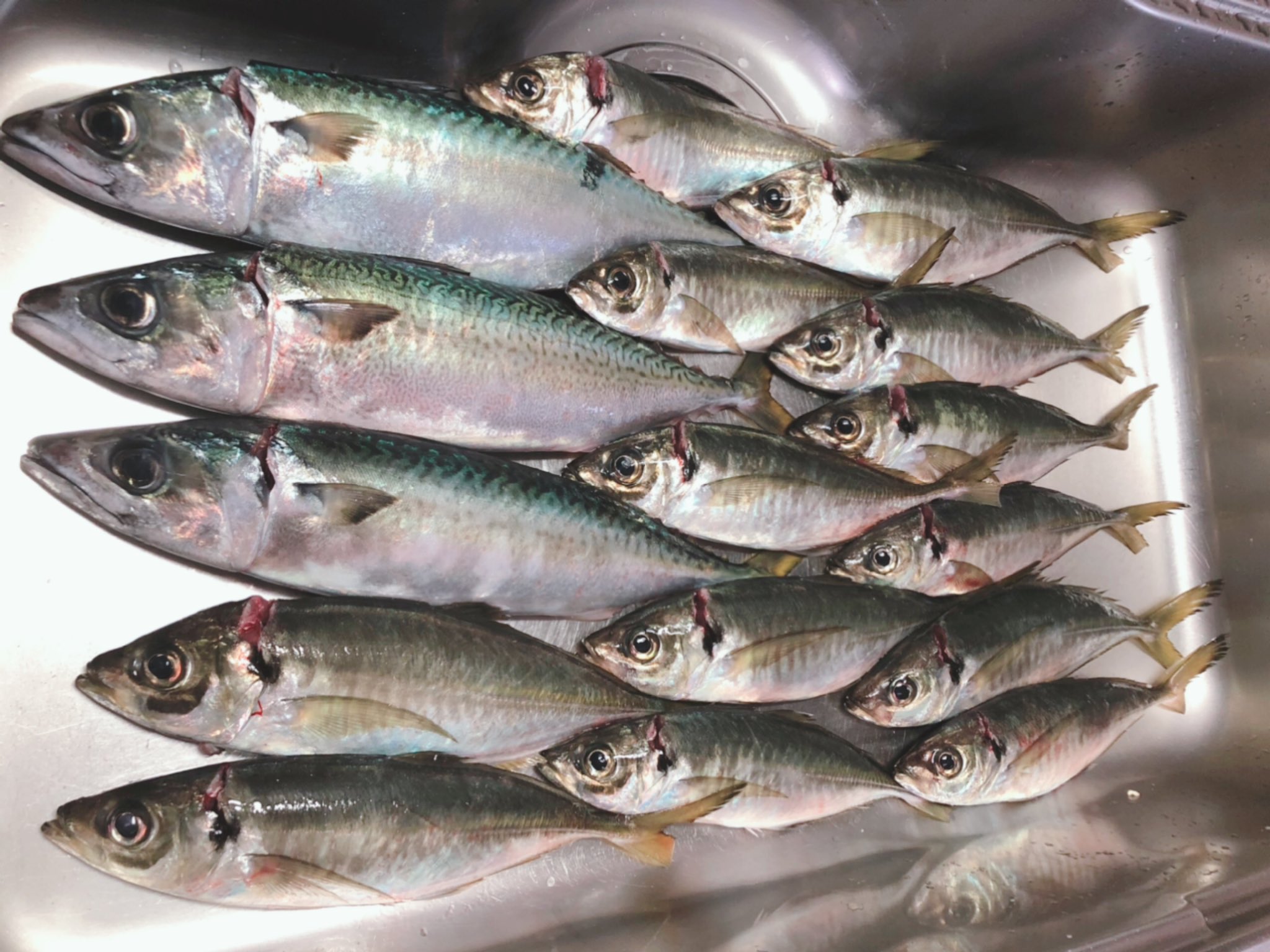 りえ Wrmhk2906 Twitter