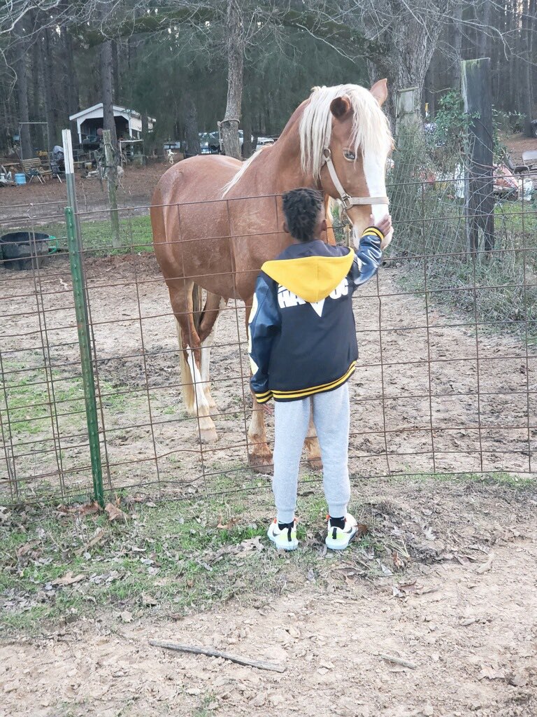 kimbernique's tweet photo. Merry Christmas Eve! #CountyLiving #Louisiana #Heforgothisboots https://t.co/wAzpAjmEy2