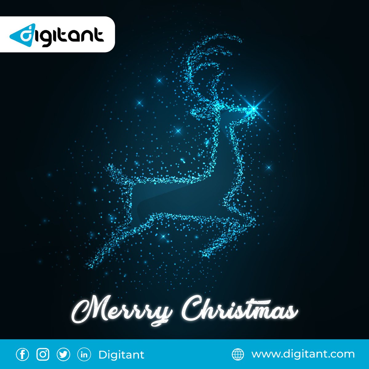 digitant's tweet photo. Digitant wishes all our customers, friends and family a Merry Christmas while staying safe and taking the best of care. We appreciate your support throughout the year and look forward to working with you in the future. 

#Merrychristmas2021
#HappyChristmas #MerryChristmasEveryone https://t.co/31H59oKyz4
