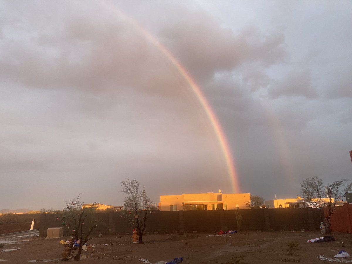 Lion Calandra tweet media