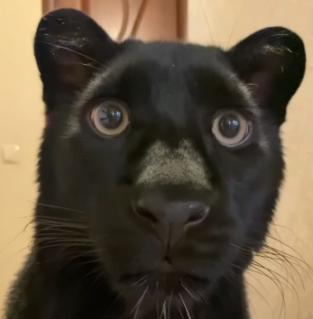 junhanbf's tweet image. 