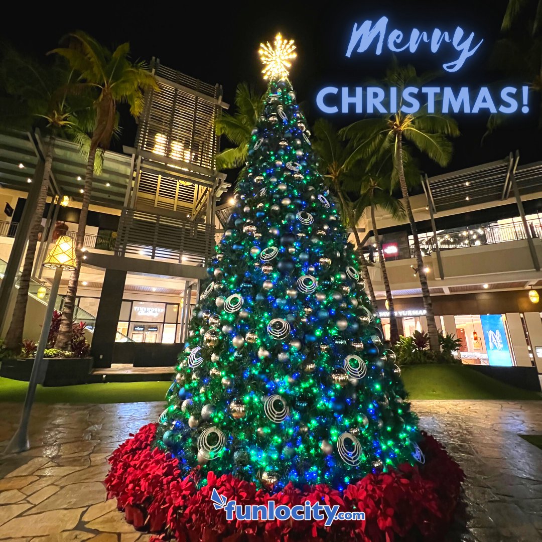funlocity's tweet photo. Merry Christmas! From our Ohana to yours! 🎉🎄🌴🎉🌟

#funlocity #hawaii #hawaiitravel #hawaiiinstagram #hawaiitag #christmas #holidays #happyholidays #christmastime #hawaiichristmas #alamoanacenter #visitHawaii #HawaiiLife #waikiki https://t.co/eXBnVeHipl
