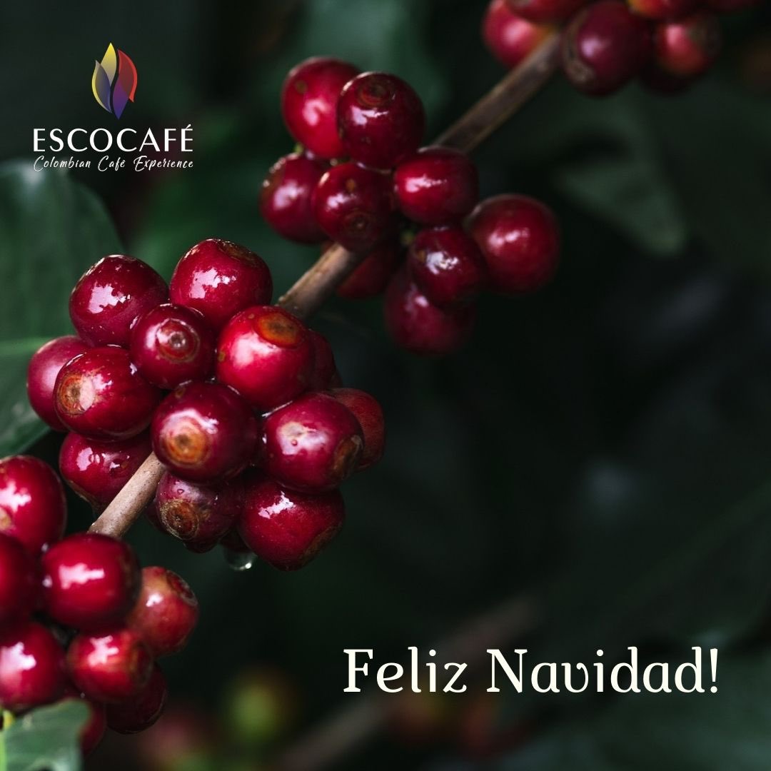 escocafe's tweet photo. Feliz navidad a tous et toutes et un grand merci pour votre soutien!
#joyeusesfetes 

#Navidad #CoffeeTime #coffee #xmas #Noel https://t.co/BHK1XhCkZI